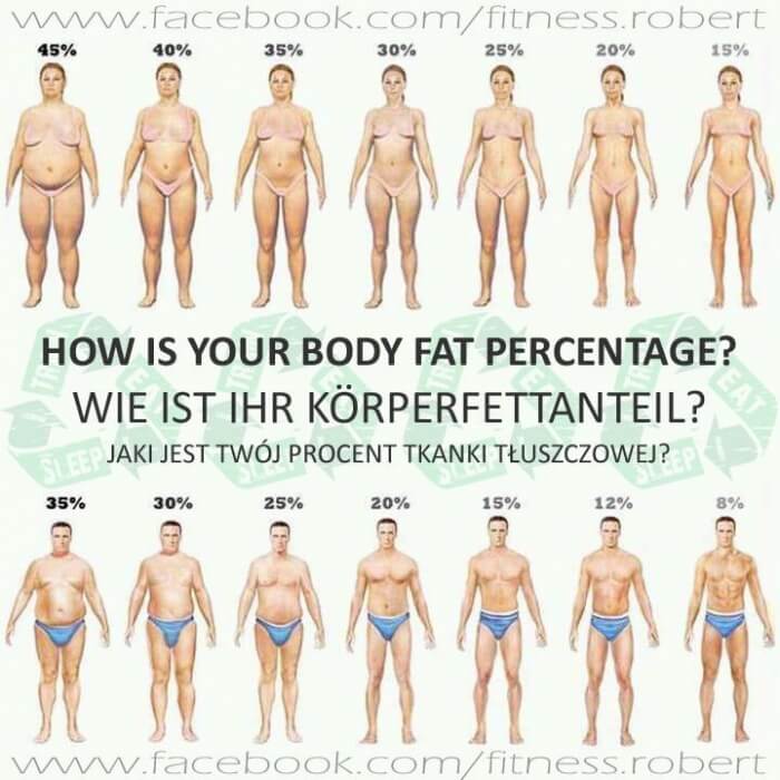 How is your Body Fat Percentage? Healthy Fitness Workouts KFA Ab