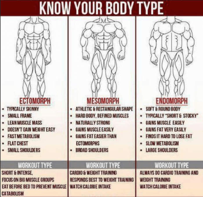 Know your Body Type? Ecto Meso Endo Healthy Fitness Workouts KFA