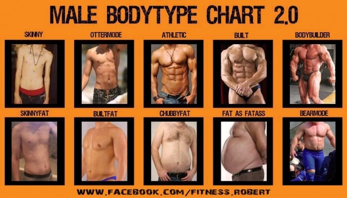 Male Bodytype Chart 2.0 - Healthy Fitness Athletic Bulk Skinny