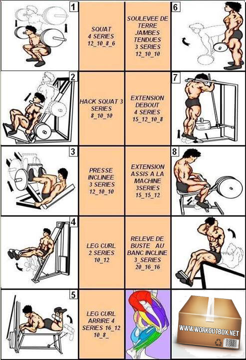 Leg Workout - Healthy Fitness Exercise Squat Curl Calf Butt Abs