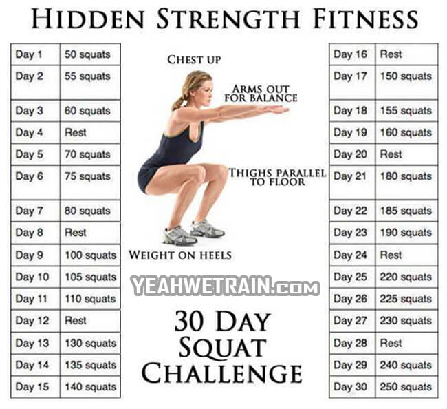 Hidden Strength Fitness 30 Days Squat - Healthy Fitness Exercise