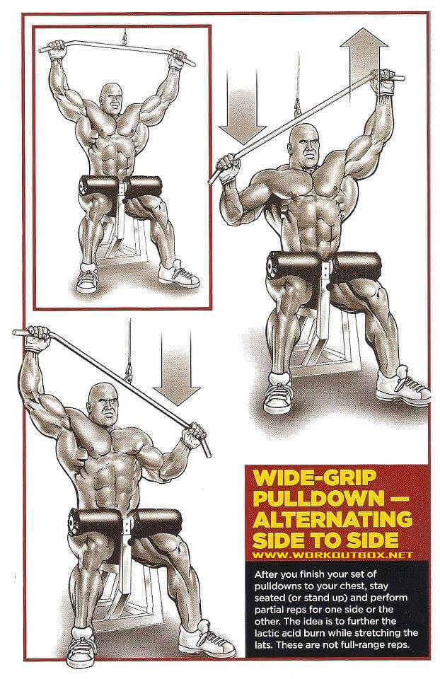 Wide-Grip Pulldown Alternating Side to Side - Fitness Healthy