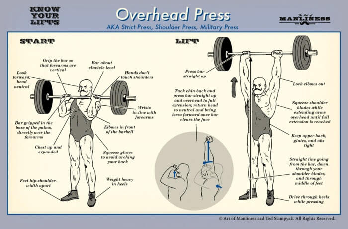 Overhead Press - Fitness Workout Military Shoulder Lifts Healthy