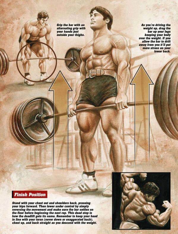 Deadlift Grip The Bar - Healthy Fitness Workout Legs Lower Back 