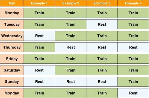 Frequency of Workouts - Healthy Fitness Exercises Train Rest Abs