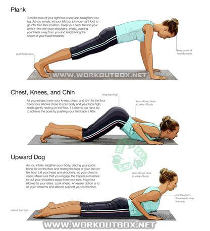 Low Back Workouts - Healthy Fitness Plank Butt Legs Female Abs