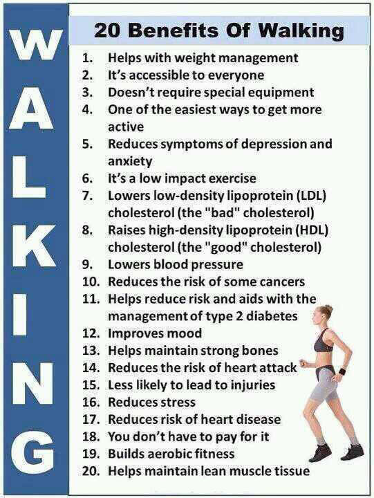 20 Benefits Of Walking - Healthy Fitness LDL HDL  Muscle Weight