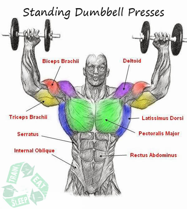 Standing Two Arm Dumbbell Presses - Shoulder Workout Upper Body