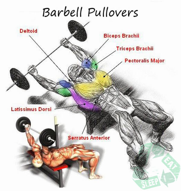 Barbell Pullovers - Shoulder Workout Chest Arms Sixpack Body Abs
