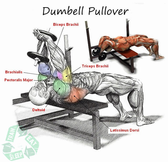 Dumbell Pullover - Shoulder Workout Chest Arms Sixpack Body Abs