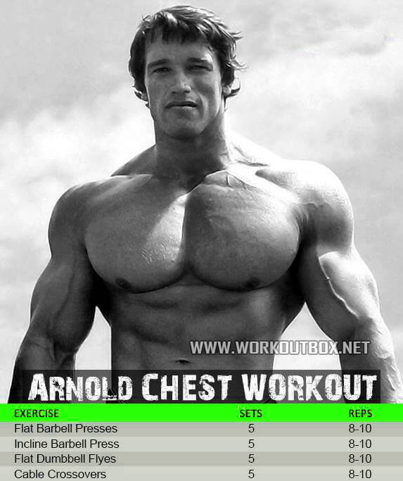 Arnold Chest Workout - Flat Barbel Press Flyes Crossover Sixpack