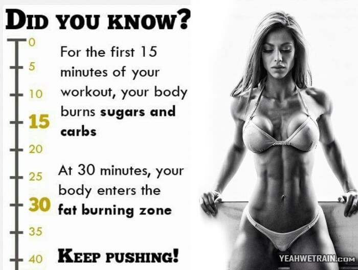 Did You Know... - Healthy Motivation Full Body Training Abs Leg