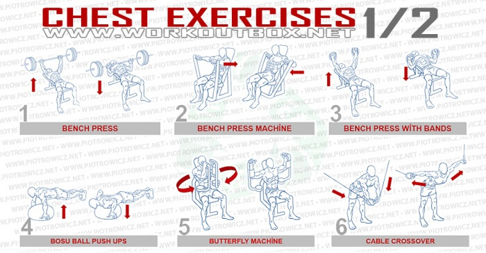 Chest Exercises Part 1 - Healthy Fitness Workout Bench Press Abs