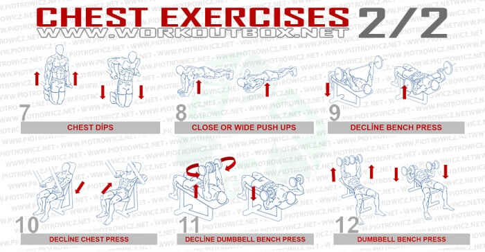 Bodybuilding Chest Exercises