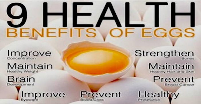 9 Healthy Benefits Of Eggs - Healthy Fitness Ab Brain Improve