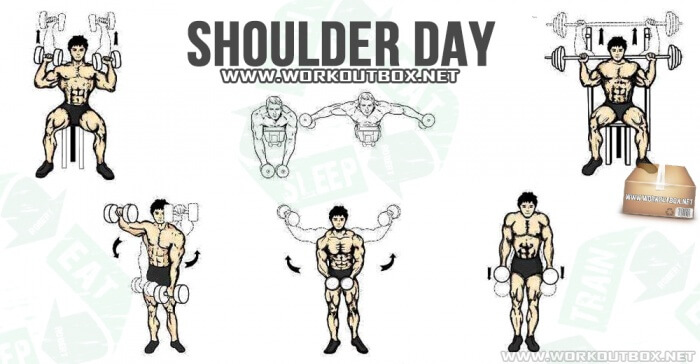 Shoulder Day - Healthy Fitness Workout Arms Bicep Tricep Core Ab