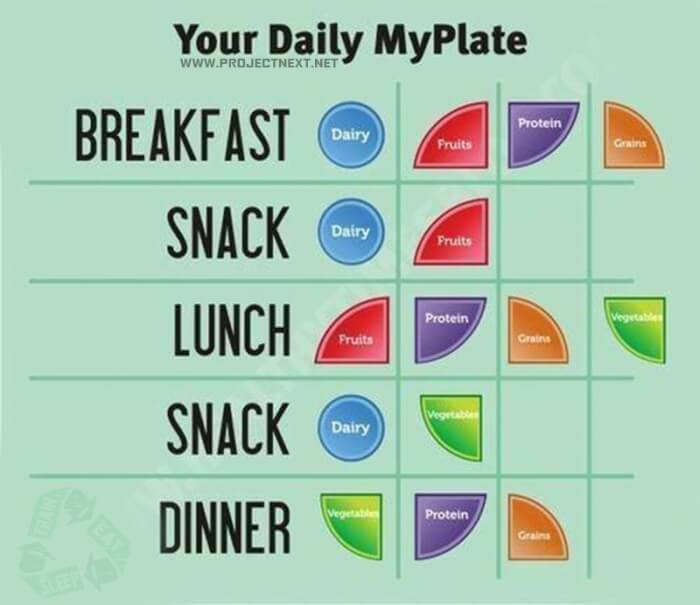 Your Daily MyPlate - Healthy Nutrition Tips Sixpack Breakfast Ab