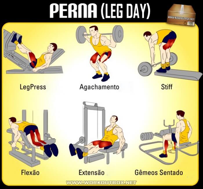 Perna (Leg Day) Workout - Healthy Nutrition Tips Legs Butt Core