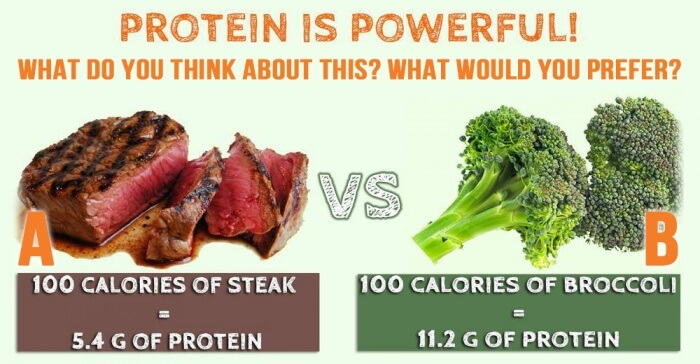 Protein Is Powerful! What Would You Prefer? Healthy Fitness Body