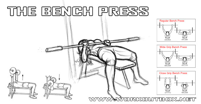 The Bench Press - Chest Workout Regular Wide Close Grip Healthy