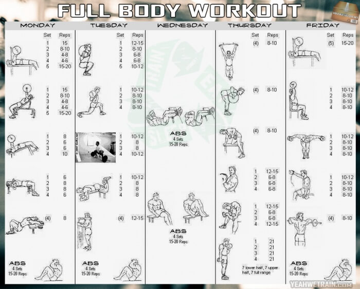 Full Body Workout Chart