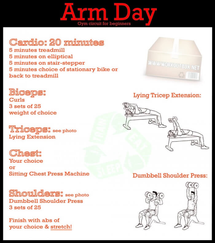 Arm Day: Gym Circuit For Beginners - Healthy Fitness Workout Abs