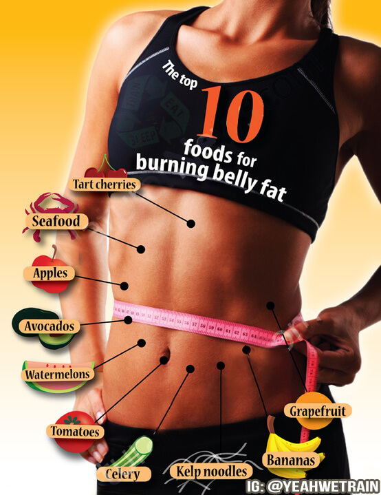 The Top 10 Foods Burning Belly Fat - Healthy Fitness Eating Plan