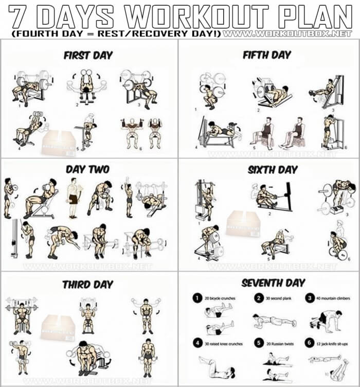 7 Days Workout Plan - Full Body Fitness Training Leg Arm Back Ab