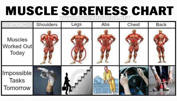 Muscle Soreness Chart - That Feeling After A Great Workout! Legs