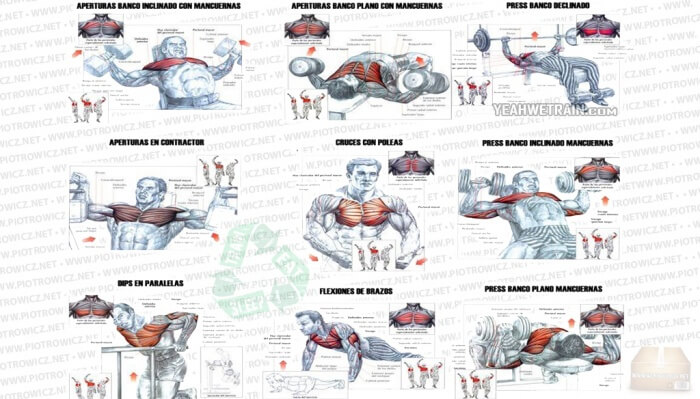 Hardcore Chest Workout - Fitness Exercises Upper Body Arms Core