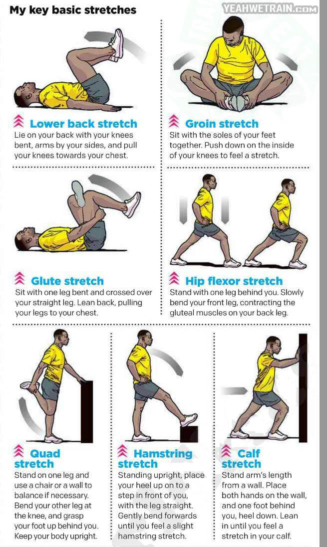 Top 7 Stretching Exercises - My Key Basic Stretches Healthy Fit