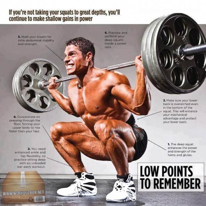 6 Best Squat Tips ! Low Points To Remember Leg And Butt Training