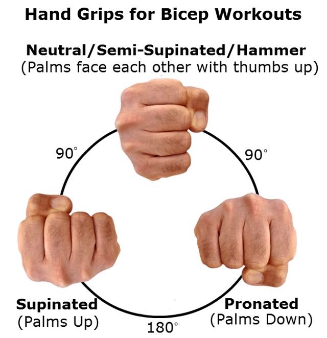 Hand Grips For Bicep Workouts - Neutral Semi-Supinated Hammer Ab