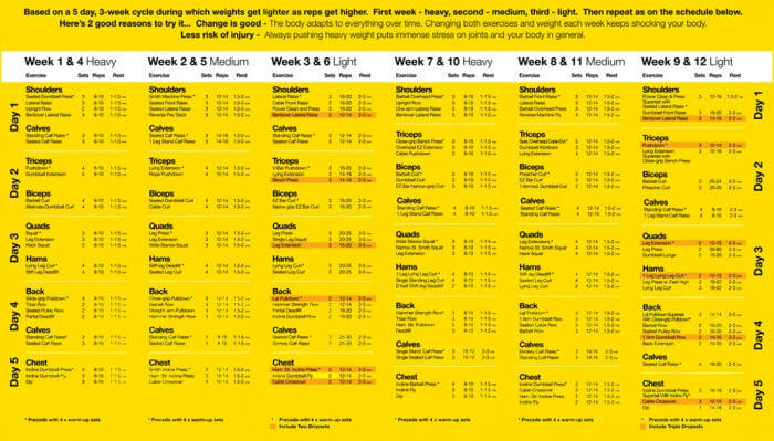 12 Week Revolutionary Training System Plan - Train Your Body 2.0