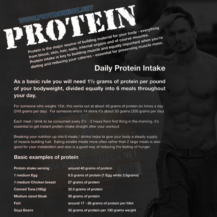A Simple Protein Guide - Daily Intake Healthy Fitness Workout Ab