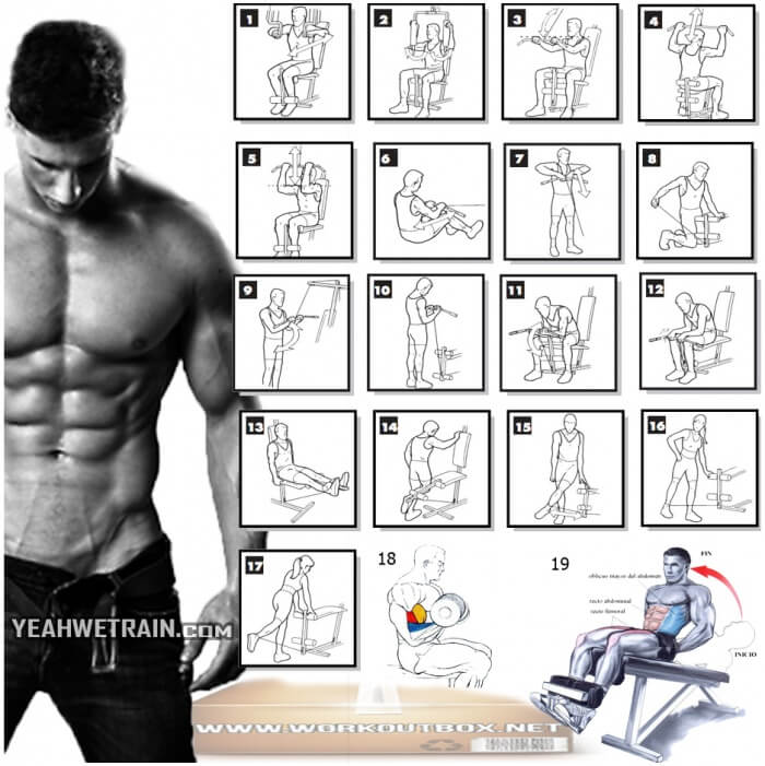 Train Full Body Workout Plan - Healthy Fitness Training Routines