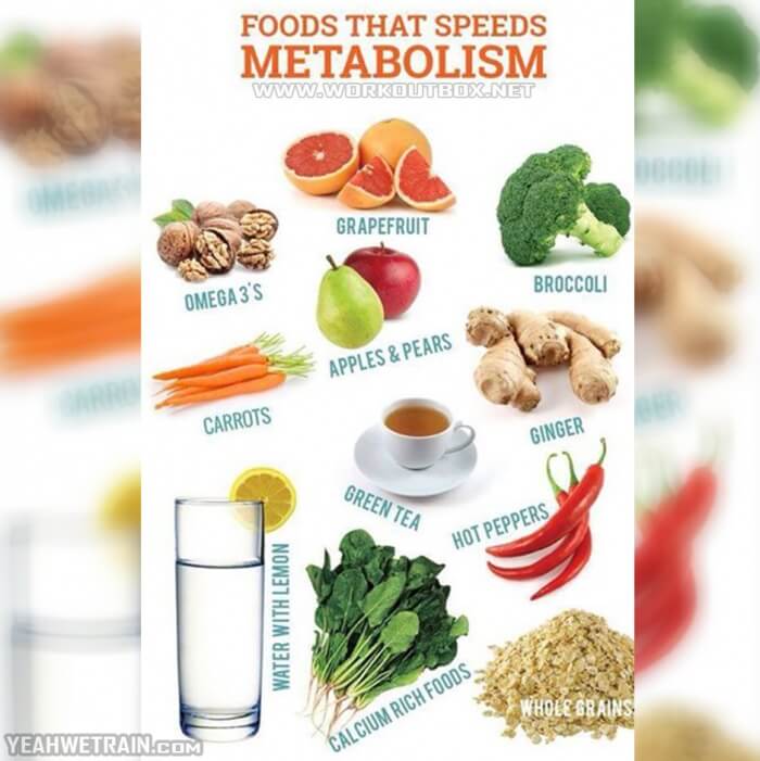 Foods That Speeds Metabolism - Healthy Fitness Recipe Tips Trick
