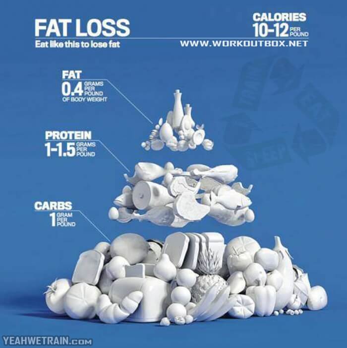 Fat Loss ! Eat Like This To Lose Fat - What Do You think? Try !