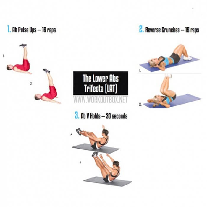 The Lower Abs Trifecta LAT - Sixpack Workout Plan For Better Ab 