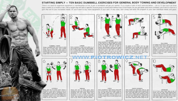 Ten Basic Dumbbell Exercises For General Body Toning Development