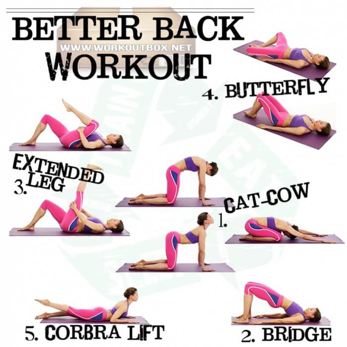 Better Back Workout - Healthy Fitness Training For Women Home Ab