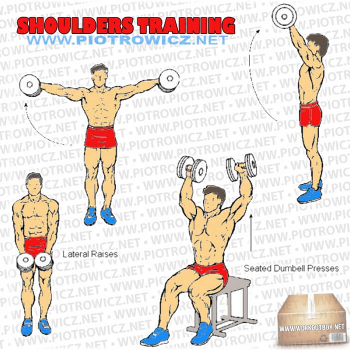 Shoulders Training - Hardcore Arm Exercises And Workout Routines