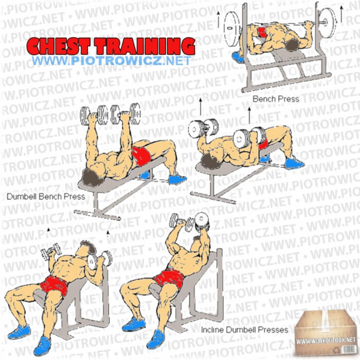 Chest Training - Hardcore Core Exercises And Workout Routine Arm