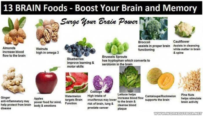 13 Brain Foods - Boost Your Brain And Memory To The Maximum Tips