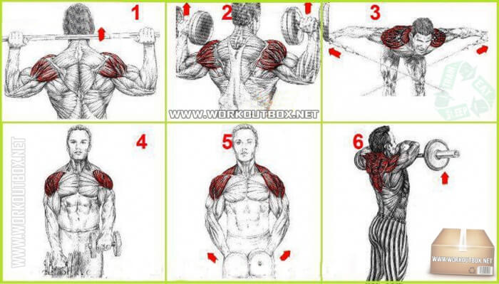 Best Shoulders And Neck Exercises - Hardcore Workout Training Ab