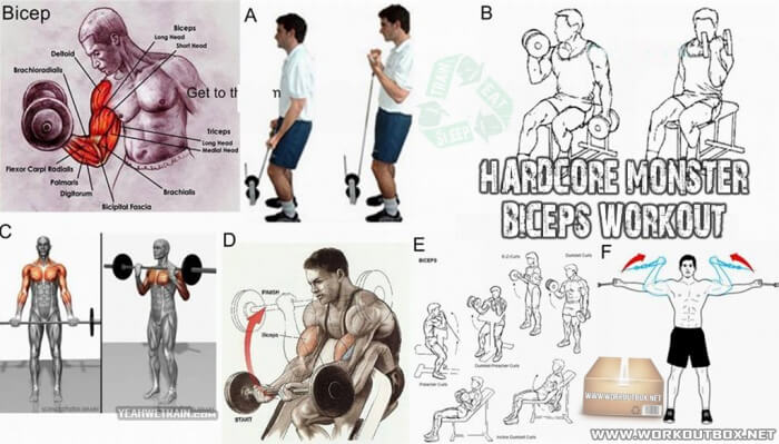 Hardcore Monster Biceps Workout - Best Fitness Exercises Arms Ab