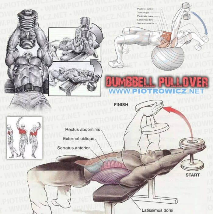 Dumbbell Pullover - Fitness Workout For Chest Sixpack Arms Train