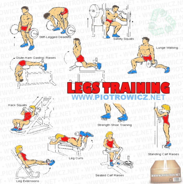 Hardcore Leg Training 25