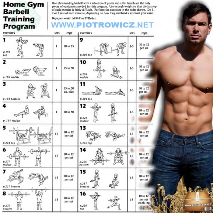 Home Gym Barbell Training Program Full Body Workout Plan 6Pack 