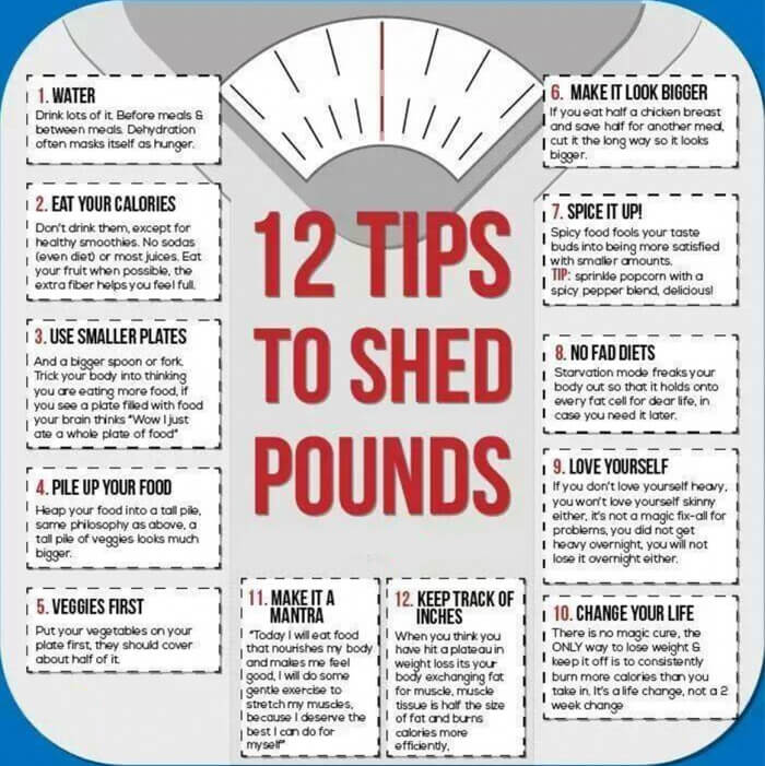 12 Tips To Shed Pounds - Healthy Fitness Tricks For Lose Weight